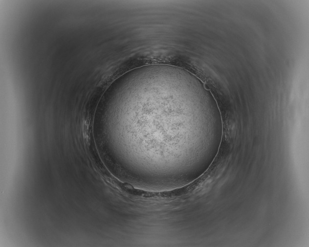 X0000112741010200908271517
