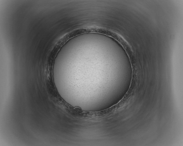 X0000112741016200908271517