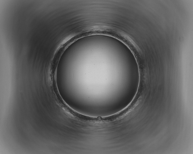 X0000112741018200908271517