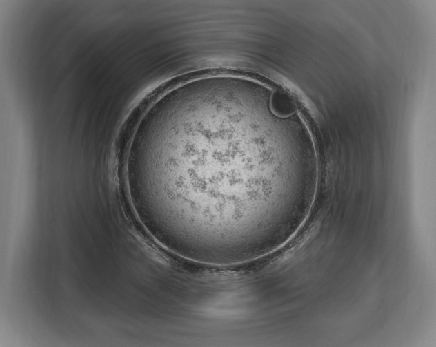 X0000112741019200908271517