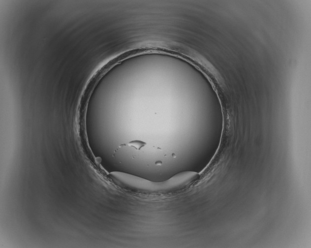 X0000112741020200908271517
