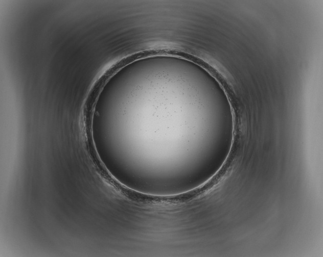 X0000112741022200908271517