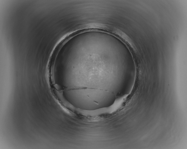 X0000112741024200908271517