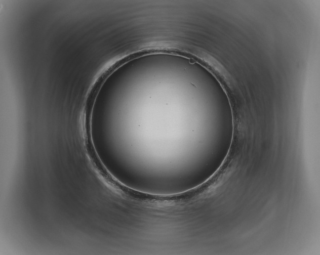 X0000112741030200908271517