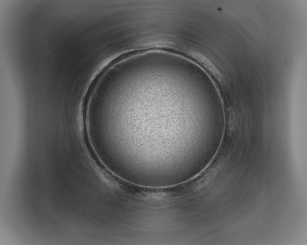 X0000112741031200908271517
