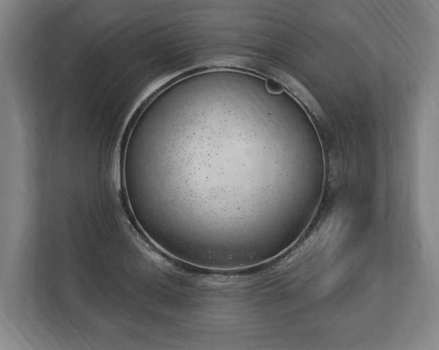 X0000112741036200908271517