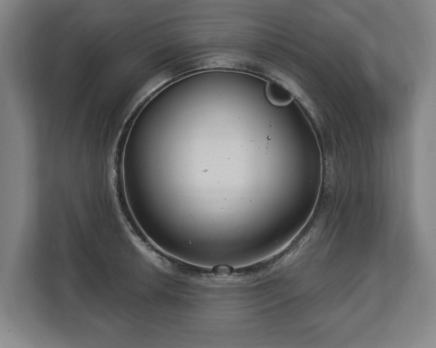 X0000112741042200908271517