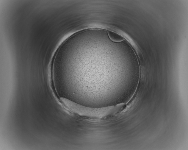 X0000112741048200908271517