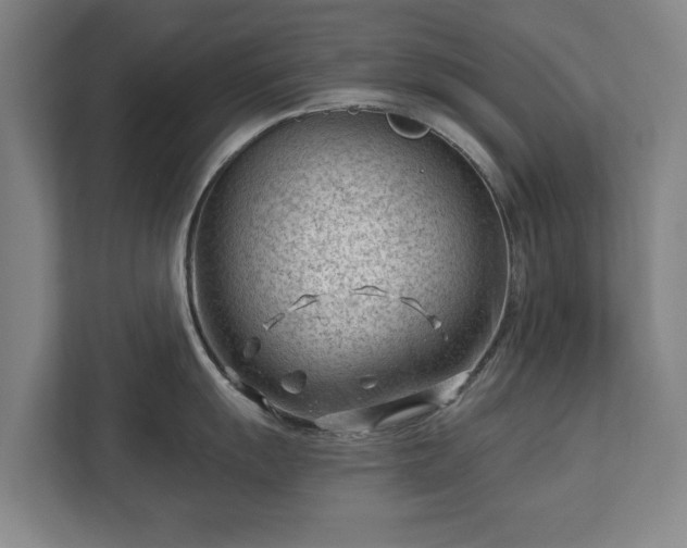 X0000112741055200908271518