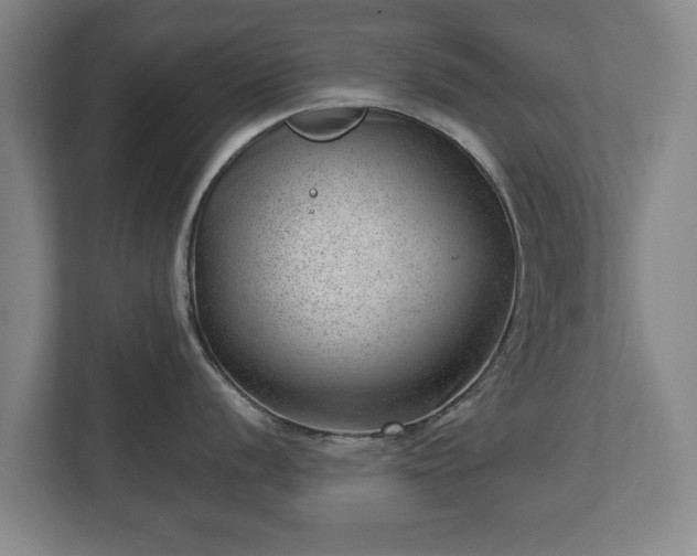 X0000112741056200908271518