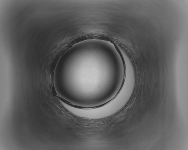 X0000112741061200908271517