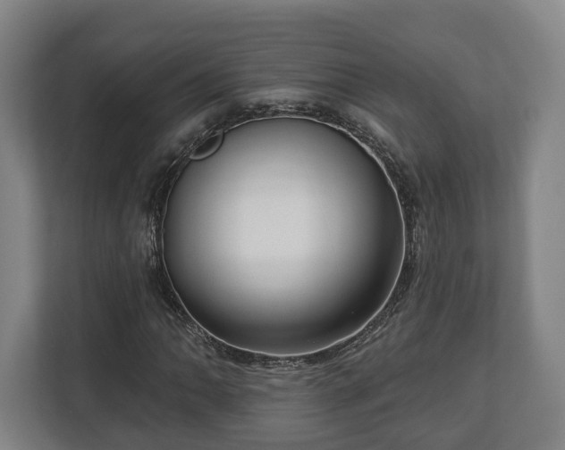 X0000112741062200908271517