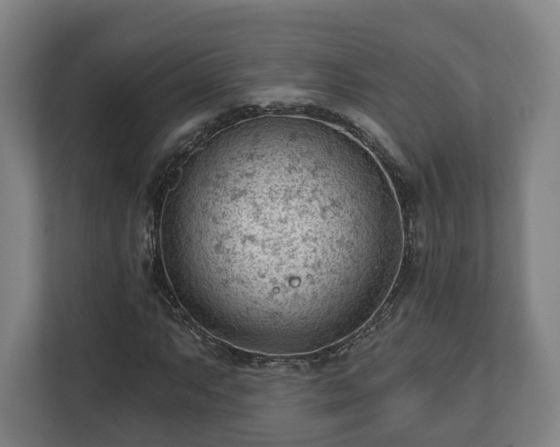 X0000112741063200908271517