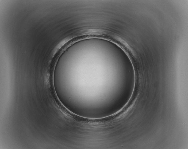 X0000112741066200908271517