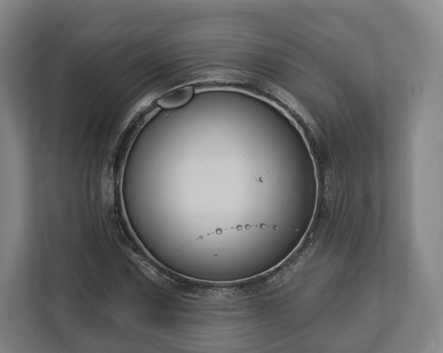 X0000112741067200908271517