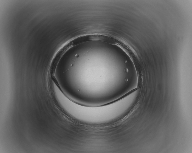 X0000112741069200908271517
