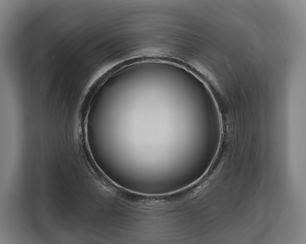 X0000112741070200908271517