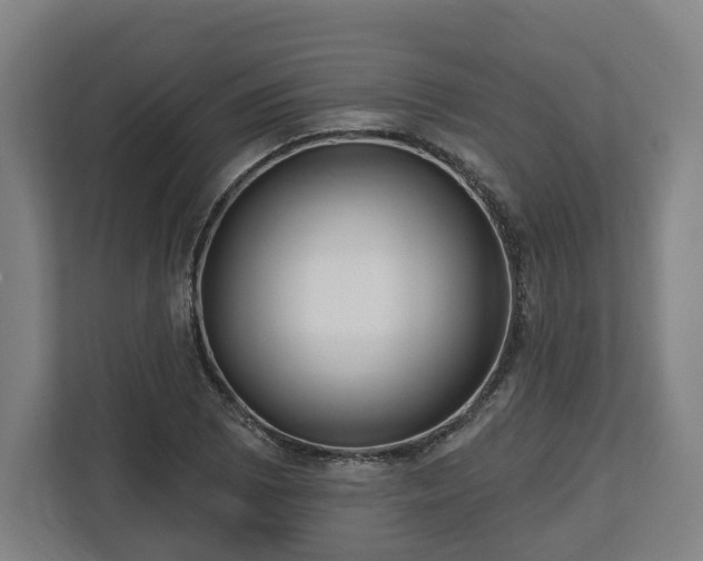 X0000112741073200908271517