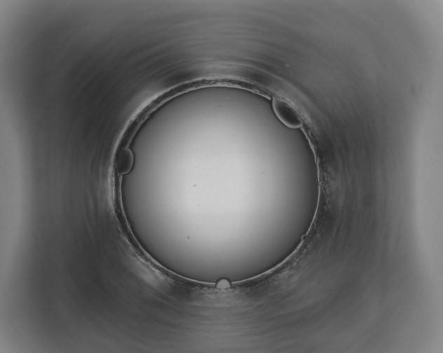 X0000112741076200908271517