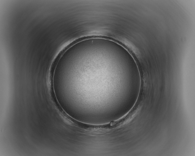 X0000112741077200908271517
