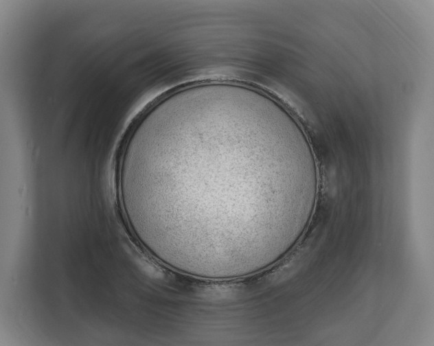 X0000112741078200908271517