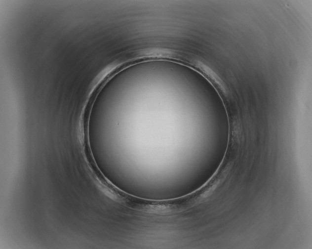 X0000112741082200908271517
