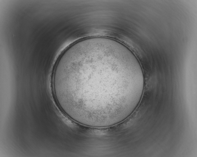 X0000112741086200908271517