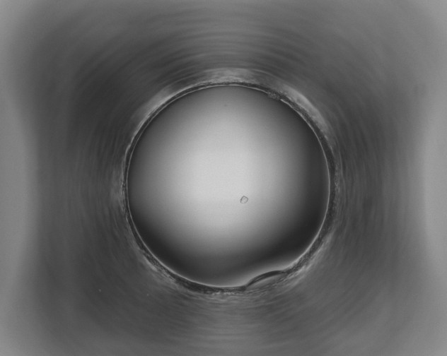 X0000112741089200908271517
