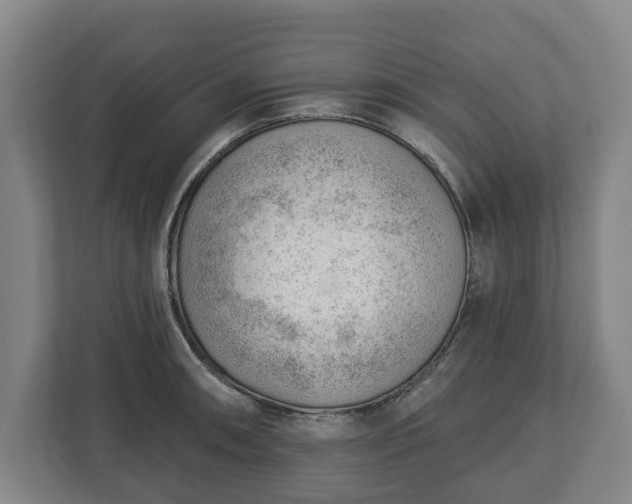 X0000112741090200908271517