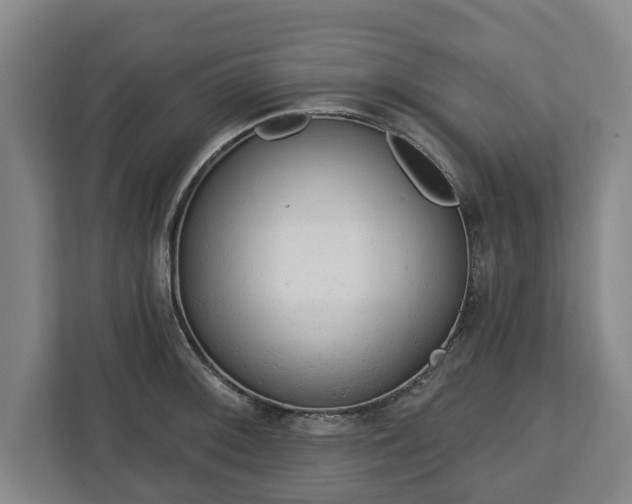 X0000112741092200908271516