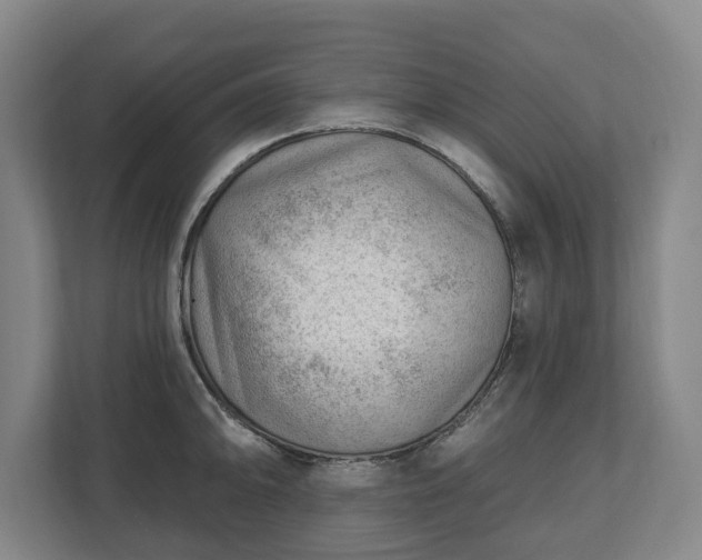 X0000112741094200908271516