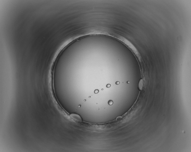 X0000112741096200908271516
