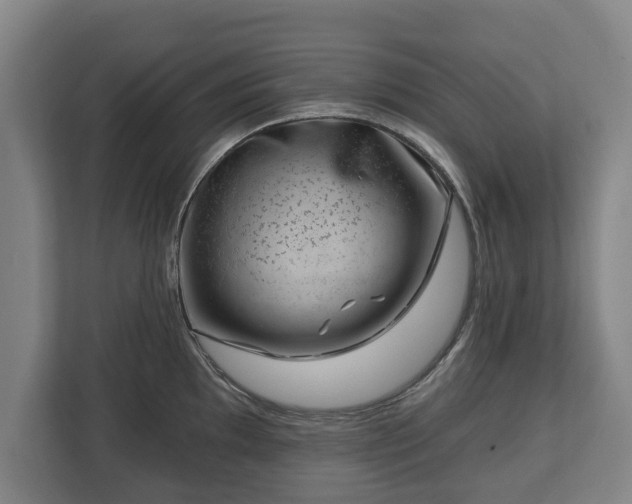 X0000112741097200908271516