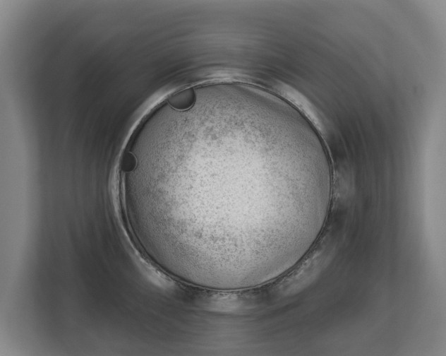 X0000112741098200908271516