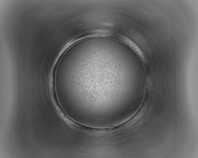 X0000112741099200908271516