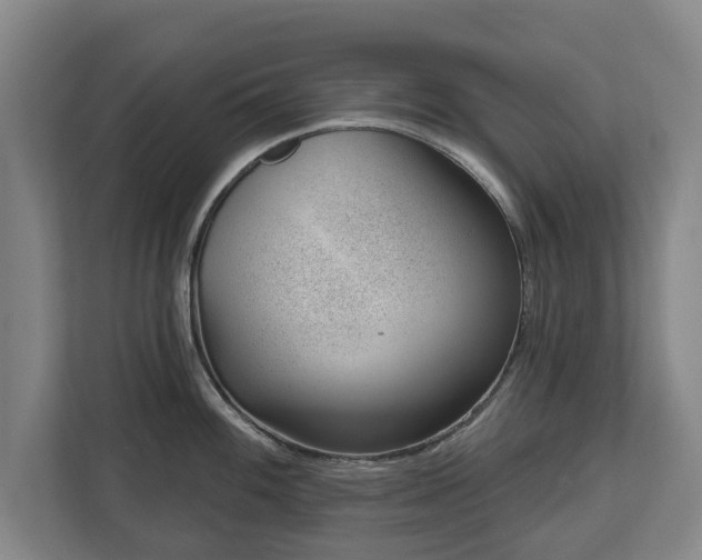 X0000112741100200908271516
