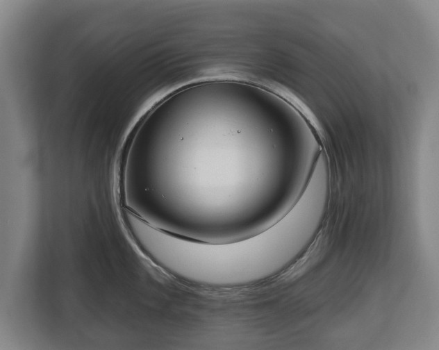 X0000112741101200908271516