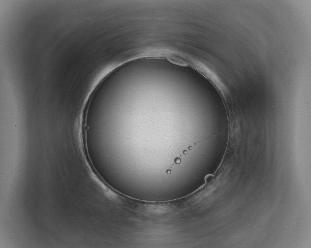 X0000112741103200908271516