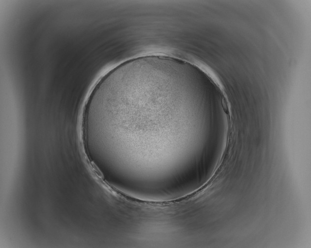 X0000112741104200908271516