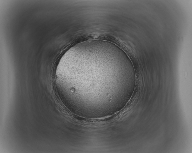 X0000112741105200908271516