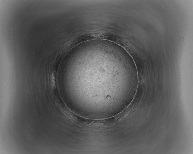 X0000112741106200908271516