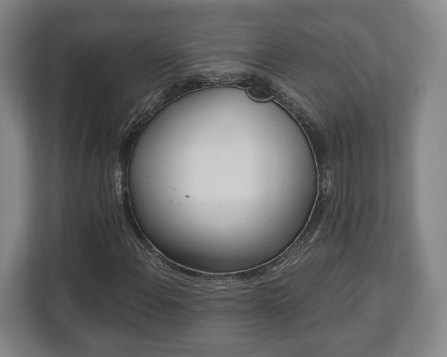 X0000112741108200908271516
