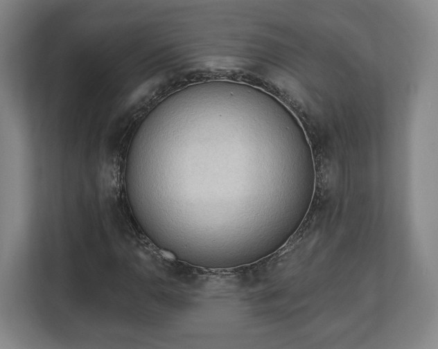 X0000112741110200908271516