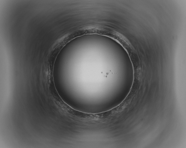 X0000112741111200908271516