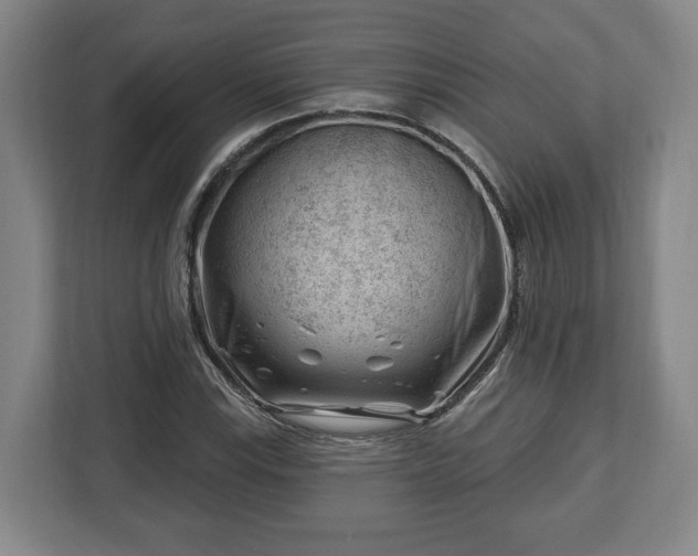 X0000112741115200908271516