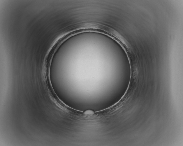 X0000112741116200908271516