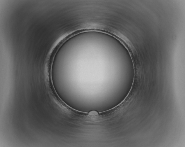 X0000112741120200908271516
