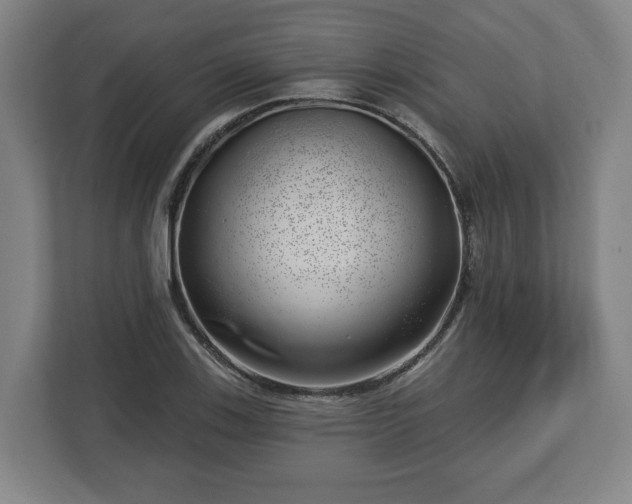 X0000112741123200908271516