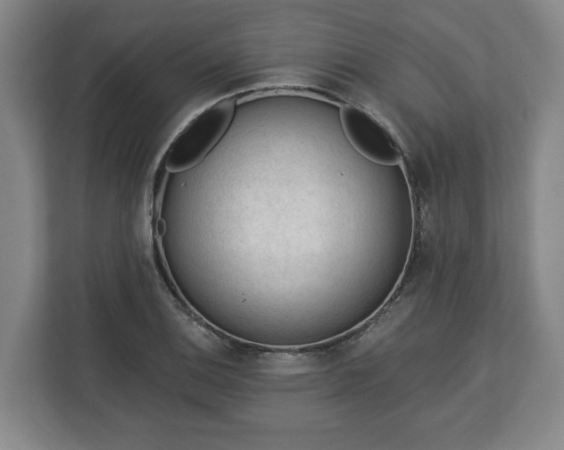 X0000112741124200908271516