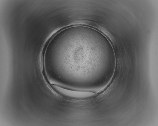 X0000112741127200908271516